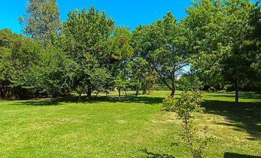 EL ACACIO Y LA CRUZ / CALERA DE TANGO