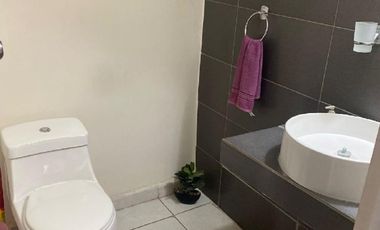 Bosque Real Santa Monica