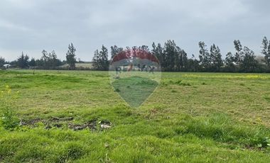 Parcela Valle Alegre Inversión o Proyecto Familiar