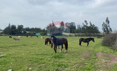 Parcela Valle Alegre Inversión o Proyecto Familiar