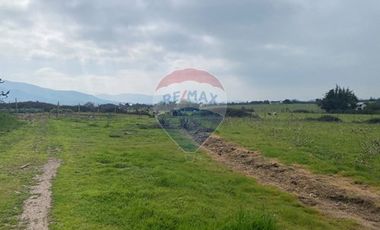 Parcela Valle Alegre Inversión o Proyecto Familiar