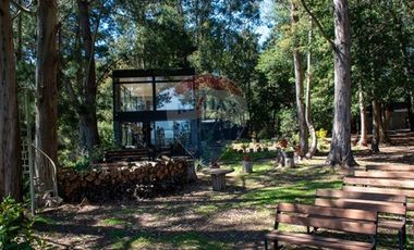 Venta de lotes proyecto Tomé