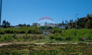 Venta de lotes proyecto Tomé