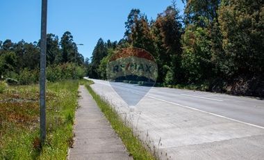 Venta de lotes proyecto Tomé