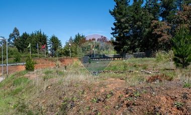 Venta de lotes proyecto Tomé