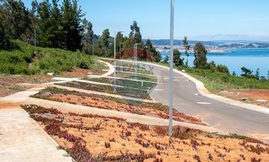 Venta de lotes proyecto Tomé