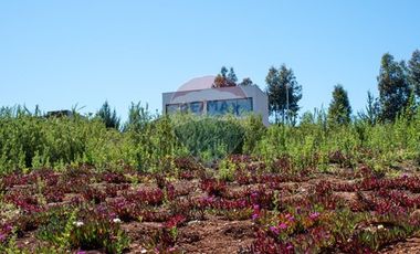 Venta de lotes proyecto Tomé