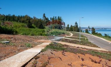 Venta de lotes proyecto Tomé