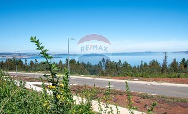 Venta de lotes proyecto Tomé