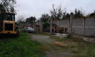 Alquiler Depósito 1555 mts cub en  Lisandro Olmos La Plata