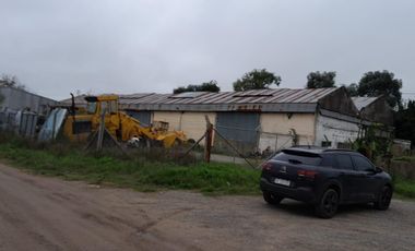 Alquiler Depósito 1555 mts cub en  Lisandro Olmos La Plata