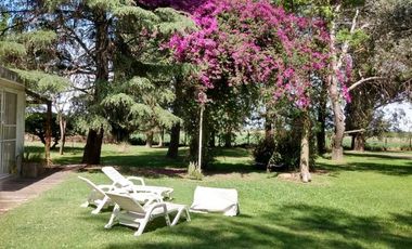 Quinta - Arroyo Seco