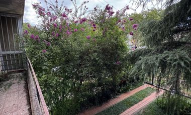 ALQUILER DEPARTAMENTO DE ESCALERA