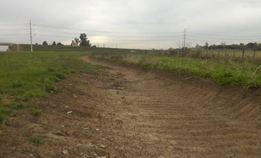 Campo en Venta - Buen Ayre sobre  Autopista Pte. Perón y Av. Patricios- Total o Fracciones