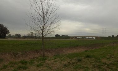Campo en Venta - Buen Ayre sobre  Autopista Pte. Perón y Av. Patricios- Total o Fracciones