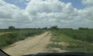 Campo en Venta - Buen Ayre sobre  Autopista Pte. Perón y Av. Patricios- Total o Fracciones