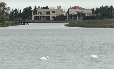 Country El Principado