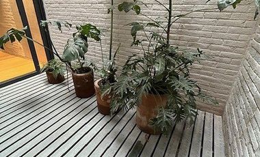 Departamento en Renta, Col. Vértiz Narvarte