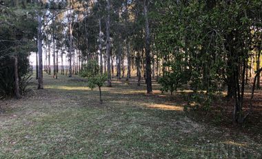 Echeverria Del Lago - Country - Canning - Esteban Echeverria - Acepta departamento