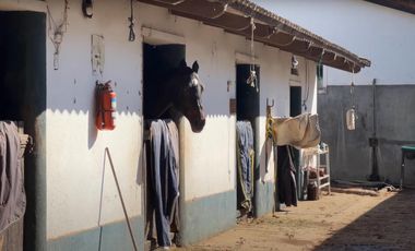 Terreno en  Venta, Haras Santa María, Escobar, Buenos Aires