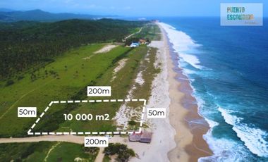 Terreno de 1 hectarea a pie de playa el Venado/Roca blanca