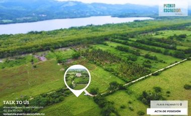 1242m2 en Palmarito a buen precio