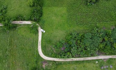 1242m2 en Palmarito a buen precio