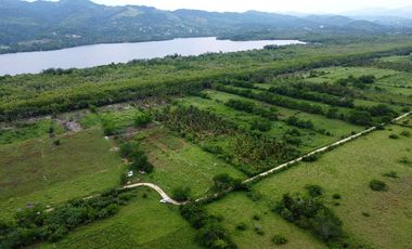 1242m2 en Palmarito a buen precio