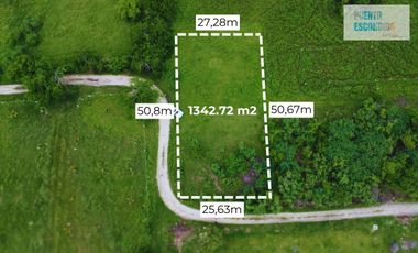 1242m2 en Palmarito a buen precio