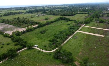 1242m2 en Palmarito a buen precio