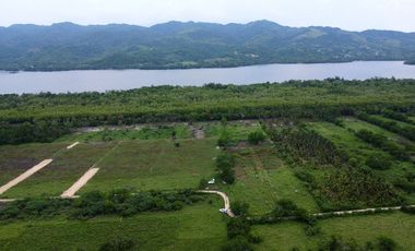 1242m2 en Palmarito a buen precio