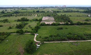 1242m2 en Palmarito a buen precio