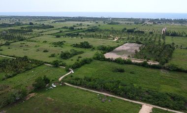 1242m2 en Palmarito a buen precio