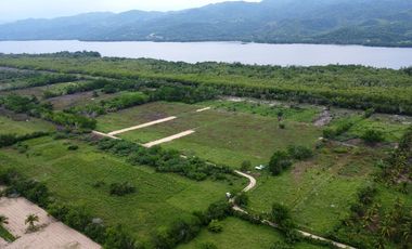 1242m2 en Palmarito a buen precio