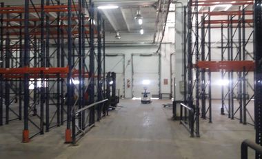 Planta industrial de 13745 m2 cub, en Moreno