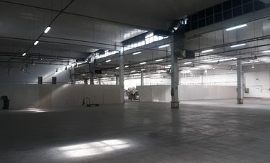 Planta industrial de 13745 m2 cub, en Moreno