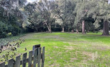 Venta Excelente Lote 3.000 m2 – Barrio Los Jazmines, Del Viso!