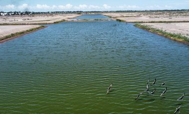 Terreno en Venta de 555 m2 en Funes Lakes