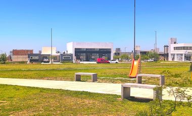 Local Comercial en Venta DOCTA