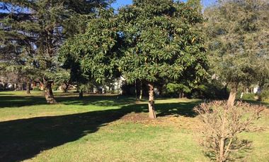 Impecable casa en el C. C. Champagnat