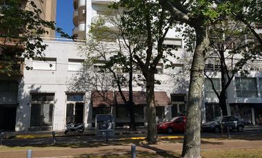 Departamento - La Plata