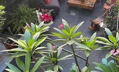 Casa en Renta en la Colonia San Ángel en Álvaro Obregón en Cdmx