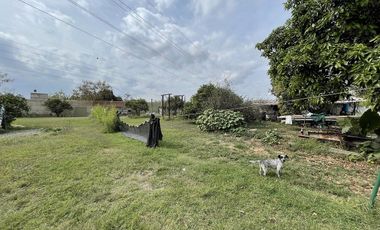 Terreno en renta sobre Juan Gil Preciado, Zapopan