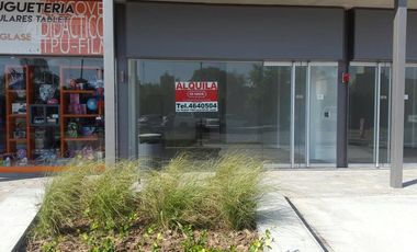 Local - Camino a San Antonio