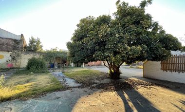 Galpón en España y Hospitales