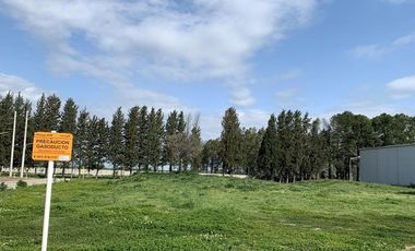 Establecimiento  en Las Palmas de 1874 m2 cub s/ 5201 m2 de Terreno.