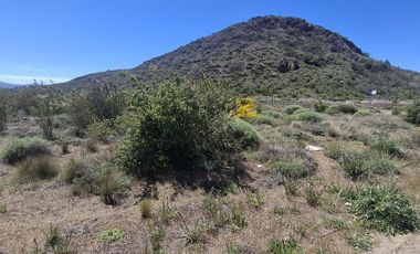 Lota en Alquiler - Dina Huapi sobre Ruta 23