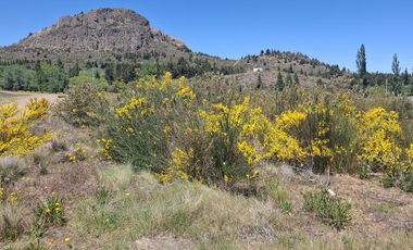 Lota en Alquiler - Dina Huapi sobre Ruta 23