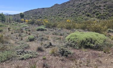 Lota en Alquiler - Dina Huapi sobre Ruta 23