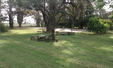 Quinta - Arroyo Seco